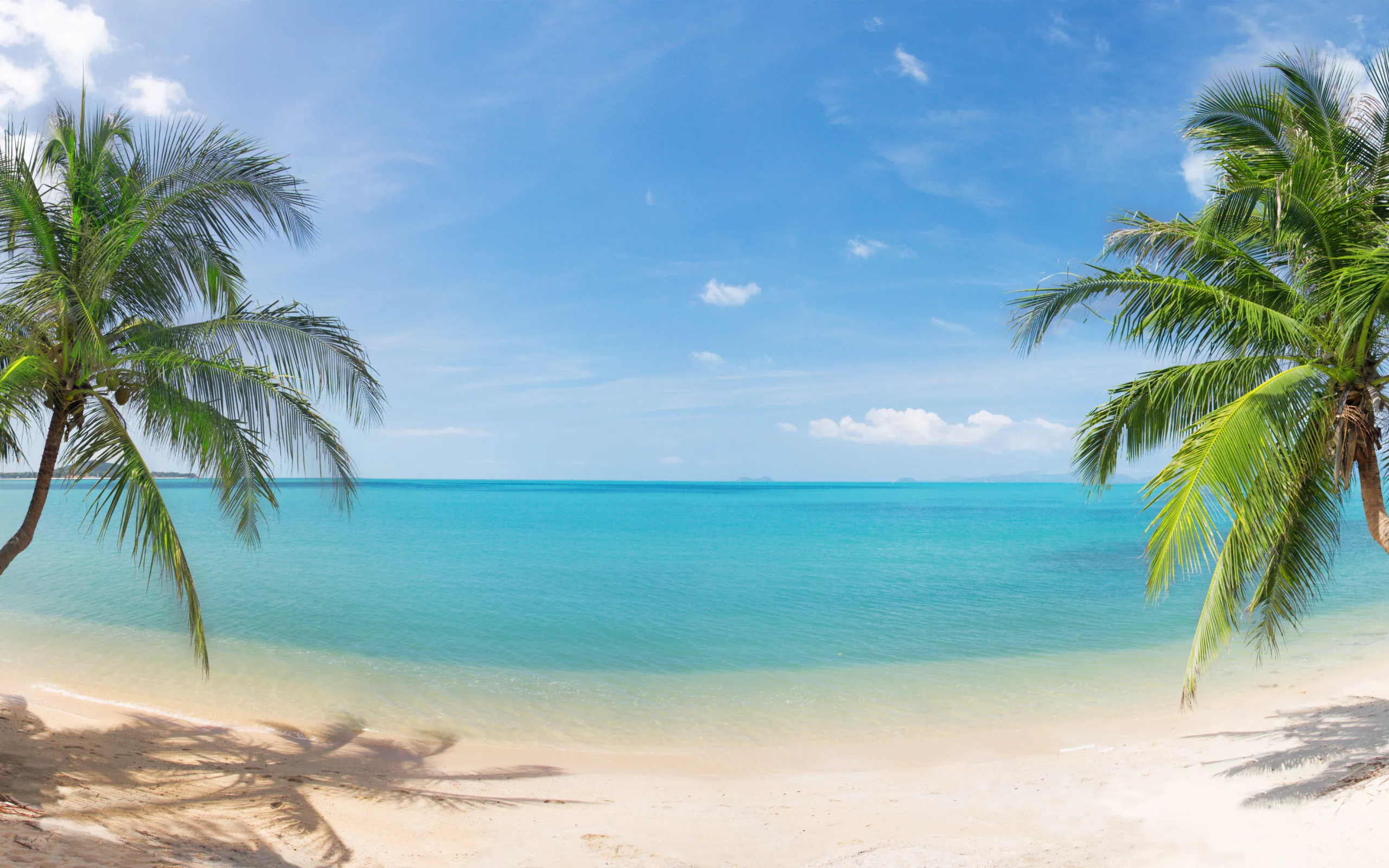 landscape, coconut palm trees, sky, nature, beautiful, panorama, clouds, sand, sea, tropical beach