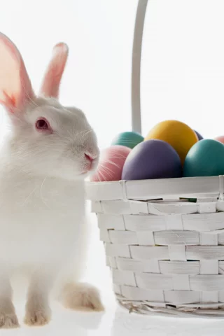 пасха, easter, кролик, яйцо, корзина