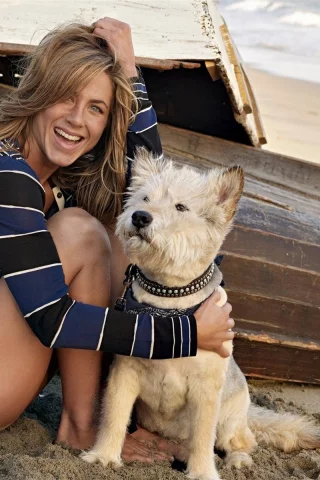 актриса, jennifer aniston, эмоции, улыбка, дженнифер энистон