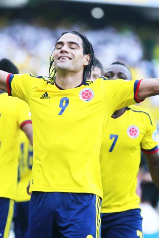 paraguay, football, glory, radamel falcao garcia, colombia, fifa world cup 2014, goal