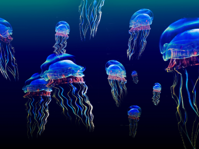 медузы, светящиеся, море, глубоко, jellyfish, underwater, ocean, sea, bokeh, jelly, water, sun, dark, wide