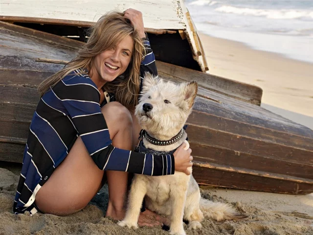 актриса, jennifer aniston, эмоции, улыбка, дженнифер энистон