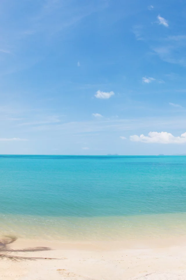 landscape, coconut palm trees, sky, nature, beautiful, panorama, clouds, sand, sea, tropical beach