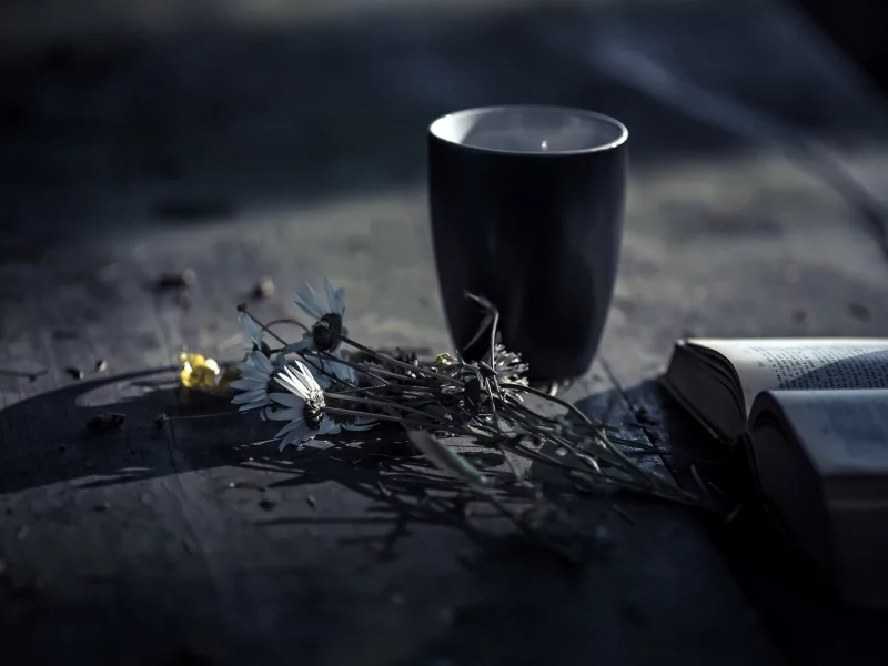 цветы, книга, кружка
