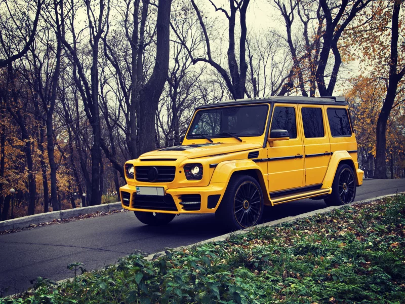 g63, внедорожник, желтый, осень, mercedes benz, мерседес, brabus