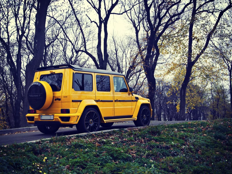 желтый, mansory gronos, g63, внедорожник, mercedes benz, осень