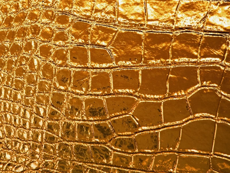 tracery, radiance, золото, texture, shine, кожа, текстура, gold, leather