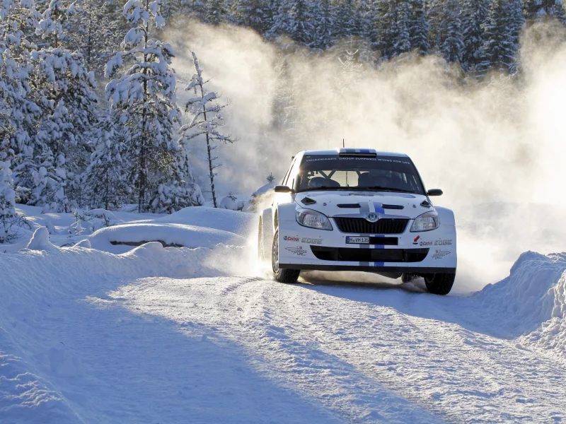 skoda, зима, fabia, снег, день, rally, автомобиль, wrc, поворот