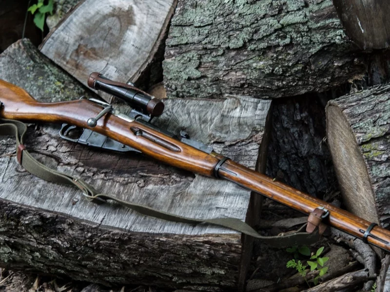 винтовка, мосин, снайперская, 1930, 1942, tula, mosin, rifle, gun, reverse, hand, weapon, guns, weapons, military, sun, summer, day, see, wide