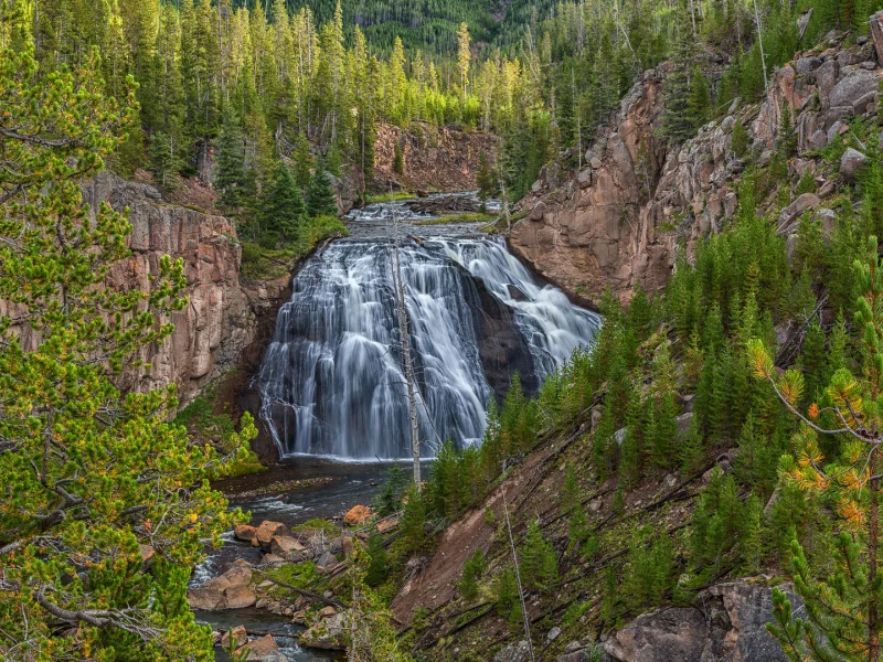 лес, водопад, сверху, waterfall, forest, park, green, water, see, beautiful, nature, lake, bridge, garden, sun, summer, sky, wide