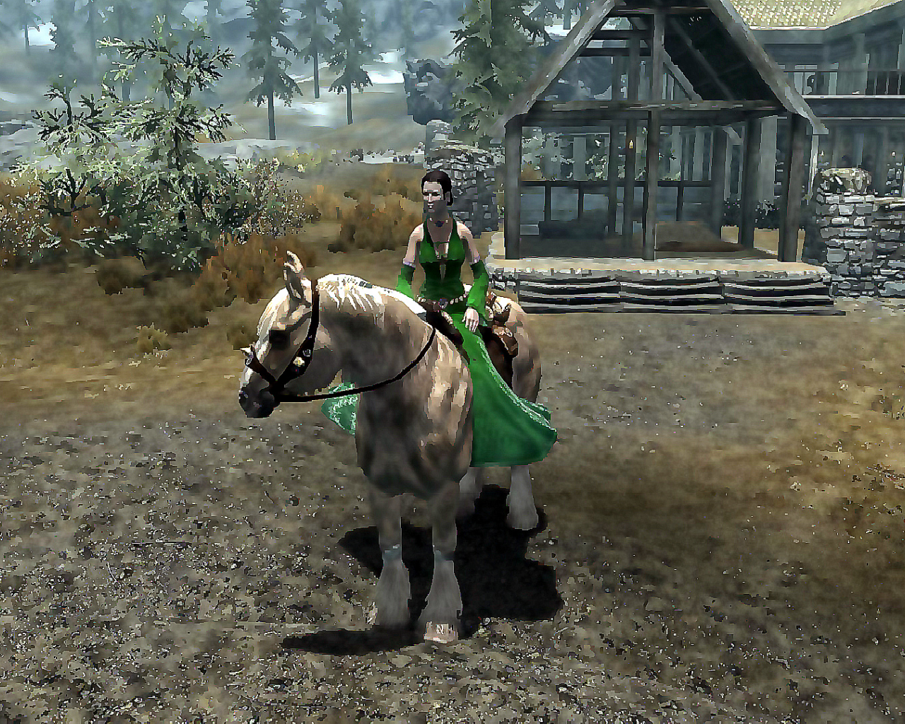 the elders scrolls v, skyrim, всадница, женщина, в платье, зелёное, конь