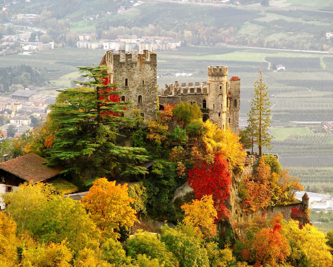 город, деревья, италия, castle, brunnenburg, фото, замок, осень