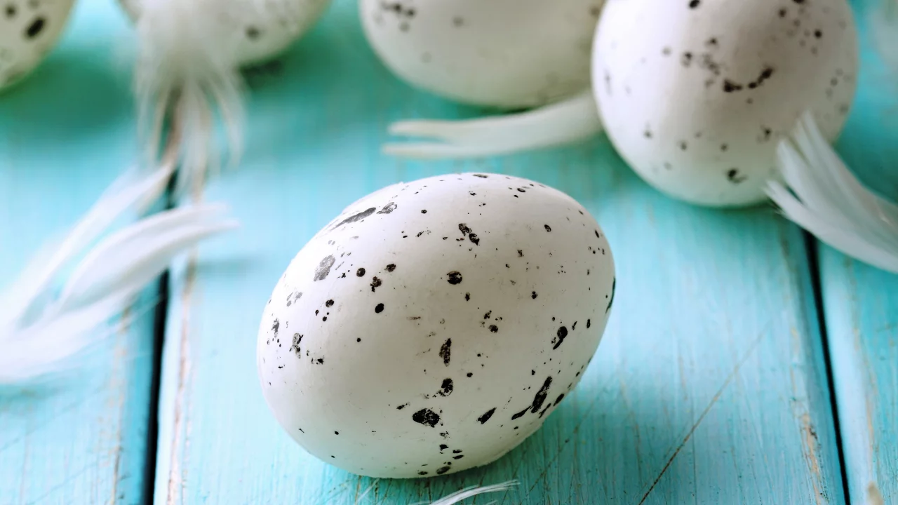 pastel, яйца, blue, feather, eggs, easter, пасха
