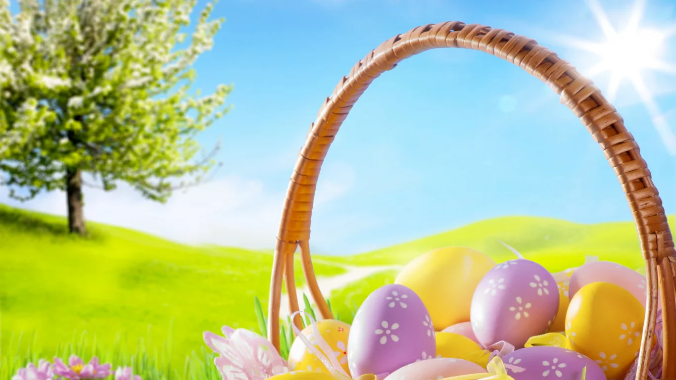 eggs, camomile, meadow, basket, blue sky, spring, flowers, grass, easter, пасха, sunshine