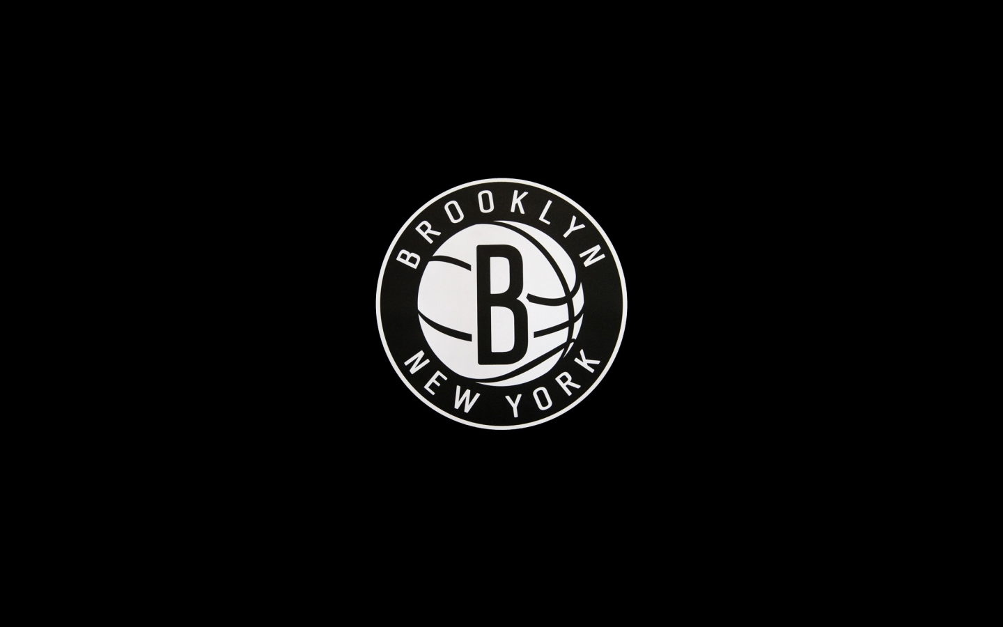 sport, usa, shake, logo, america, basketball, nets, harlem, brooklyn nets, brooklyn, new york, nba