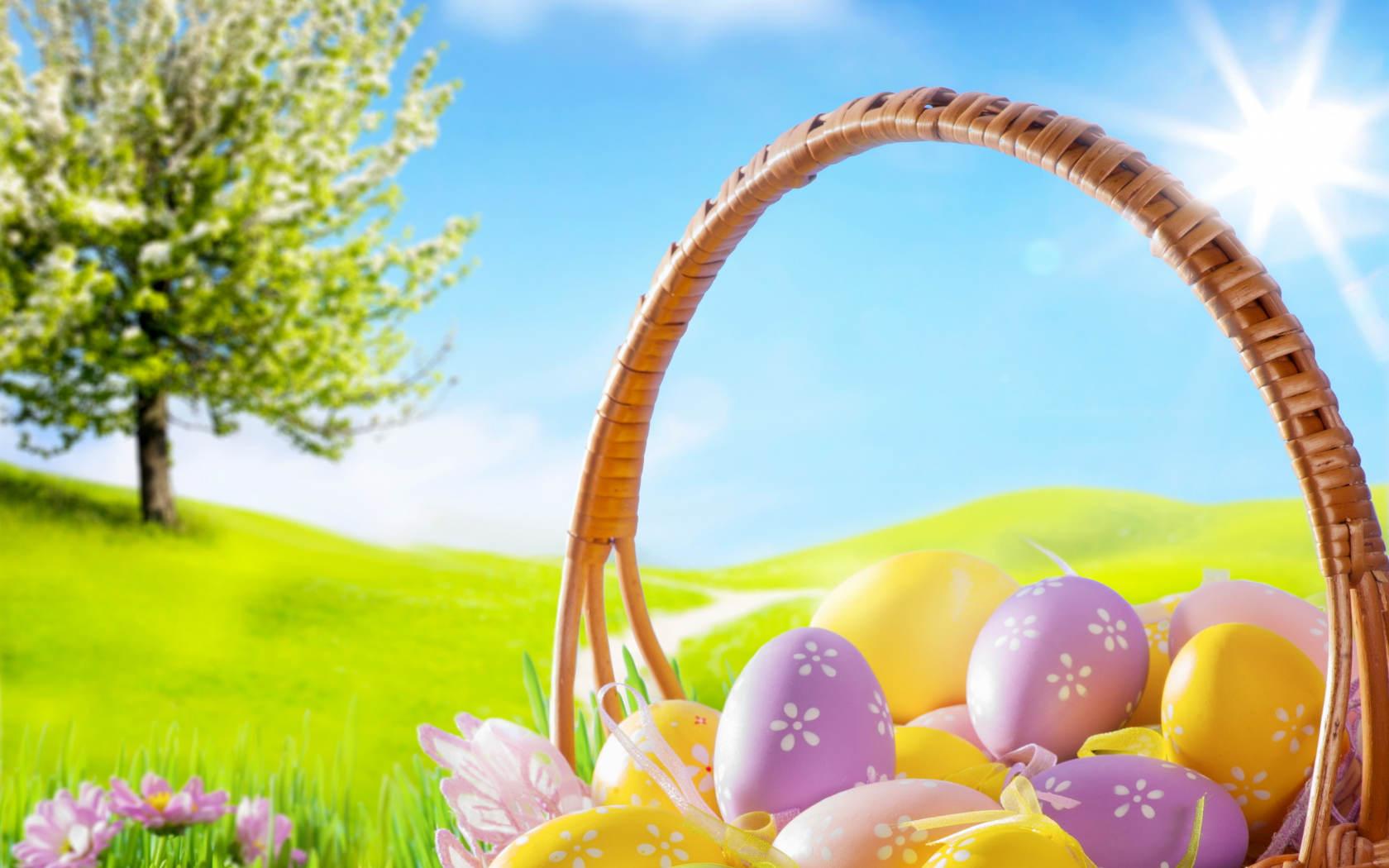 eggs, camomile, meadow, basket, blue sky, spring, flowers, grass, easter, пасха, sunshine