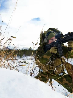 norwegian army, оружие, солдат