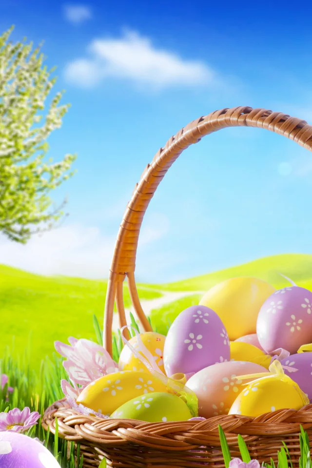 eggs, camomile, meadow, basket, blue sky, spring, flowers, grass, easter, пасха, sunshine