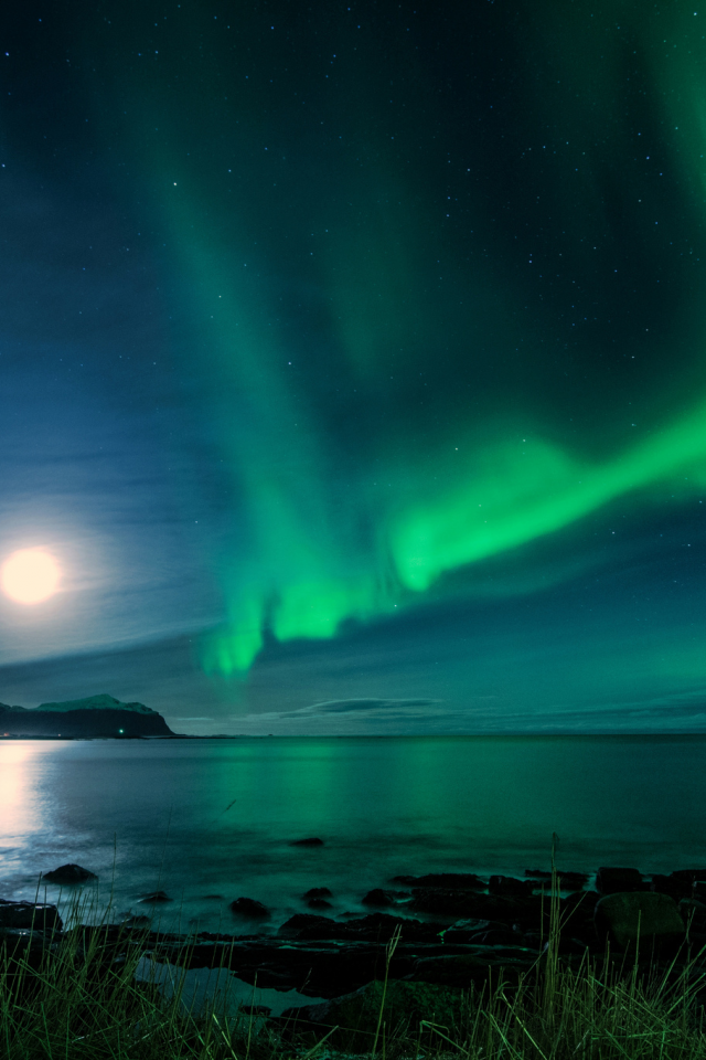 исландия, луна, залив, ночь, северное сияние