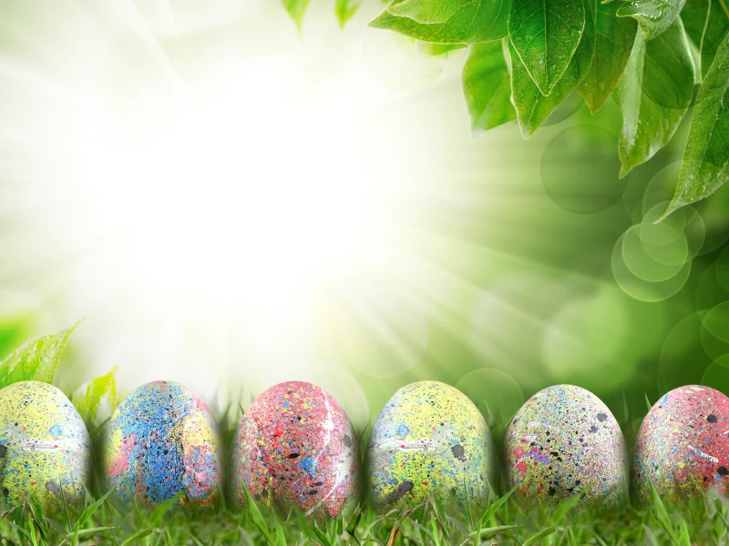 яйца, праздник, цветы, природа, easter, трава, пасха, весна