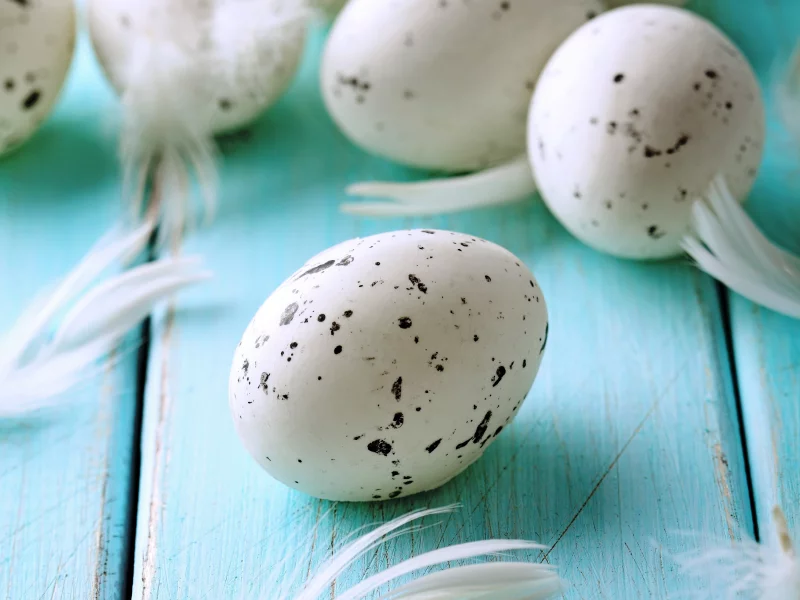 pastel, яйца, blue, feather, eggs, easter, пасха