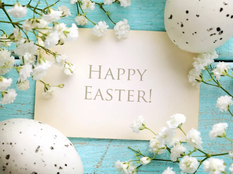 happy, eggs, spring, flowers, blue, яйца, пасха, delicate, весна, pastel, easter