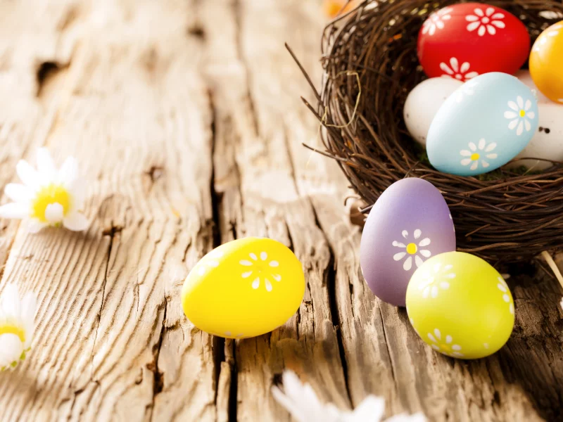flowers, eggs, camomile, ромашки, easter, wood, пасха, яйца