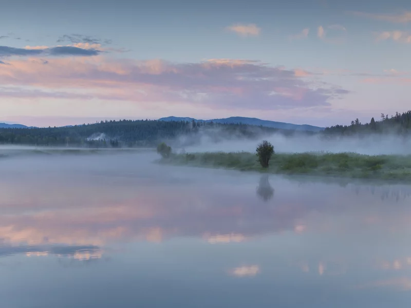 national park, clouds, morning, mist, forest, lake, usa, reflection, wyoming, oxbow bend, sky