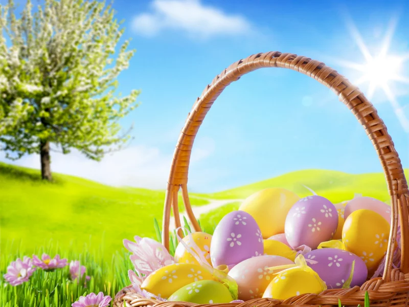 eggs, camomile, meadow, basket, blue sky, spring, flowers, grass, easter, пасха, sunshine