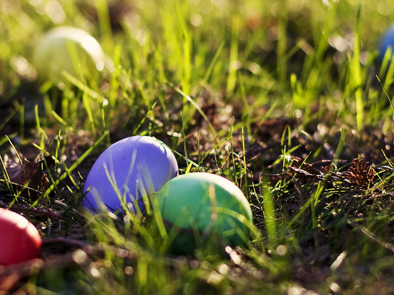 яйца, easter, grass, eggs, пасха, весна, spring, colored, трава