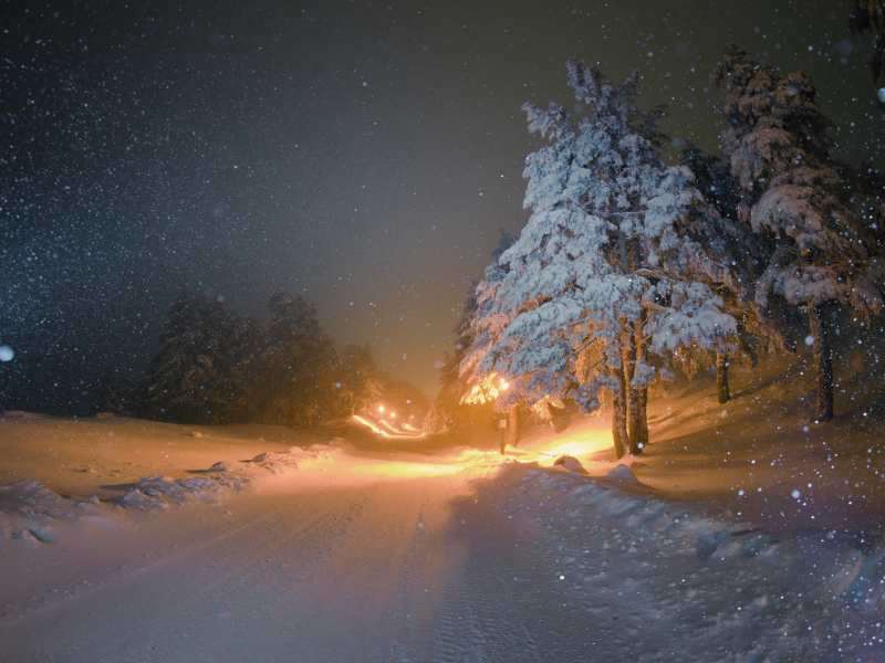 зима, фонари, ночь, елки, дорога, снег, освещение