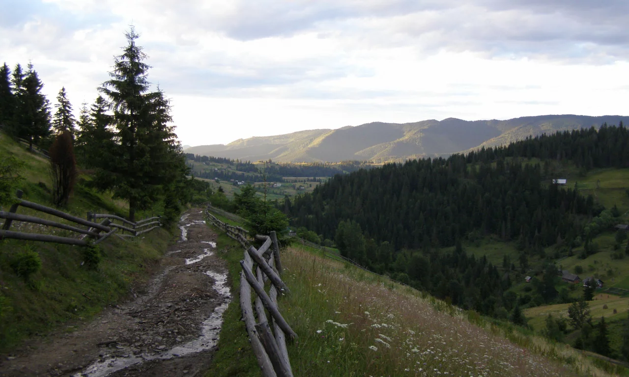 село, горы, лес, луг, облака, дорога, забор, ели