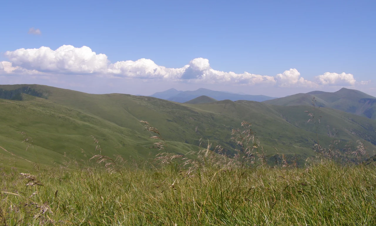 карпаты, горы, полоныны, трава, говерла, туризм