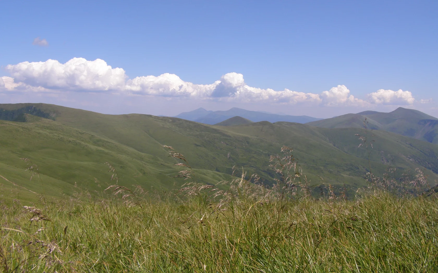 карпаты, горы, полоныны, трава, говерла, туризм