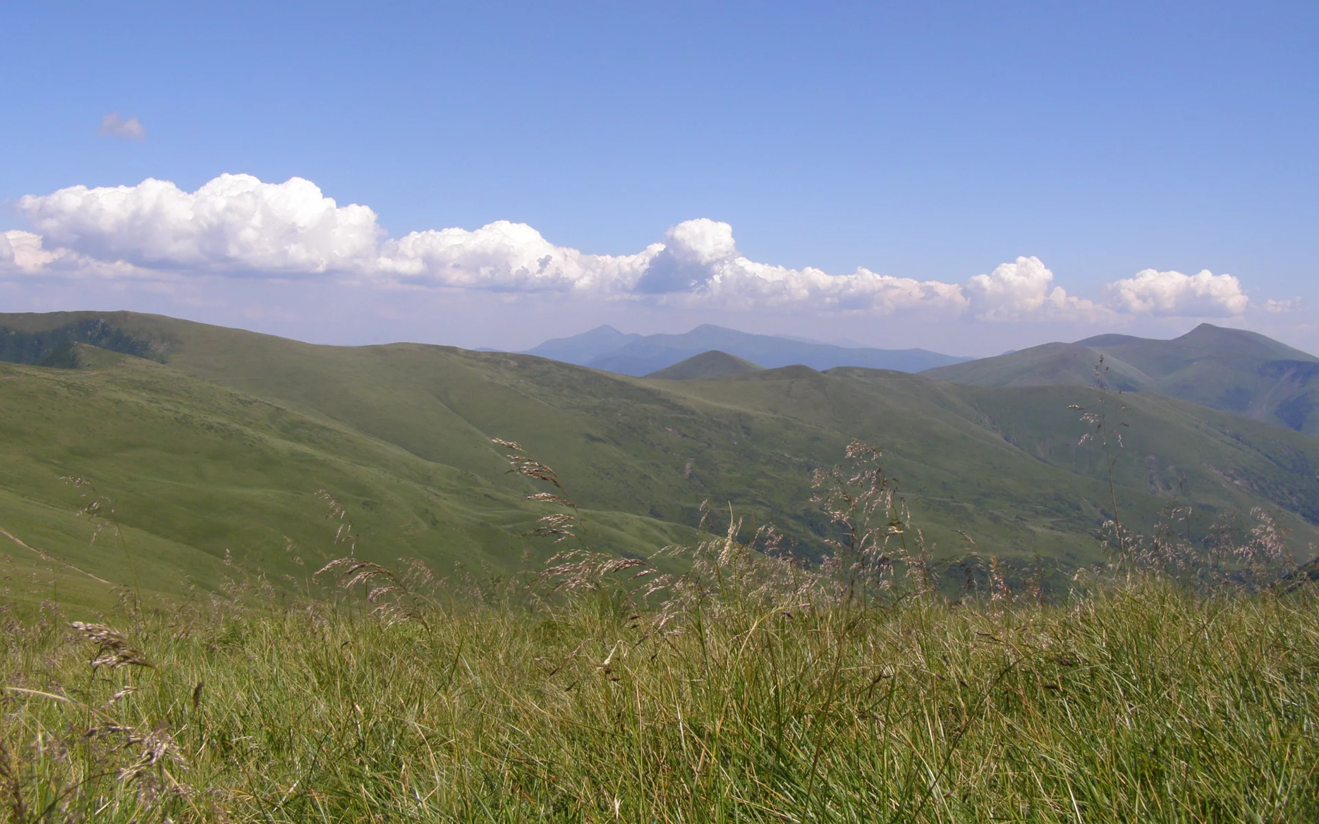карпаты, горы, полоныны, трава, говерла, туризм