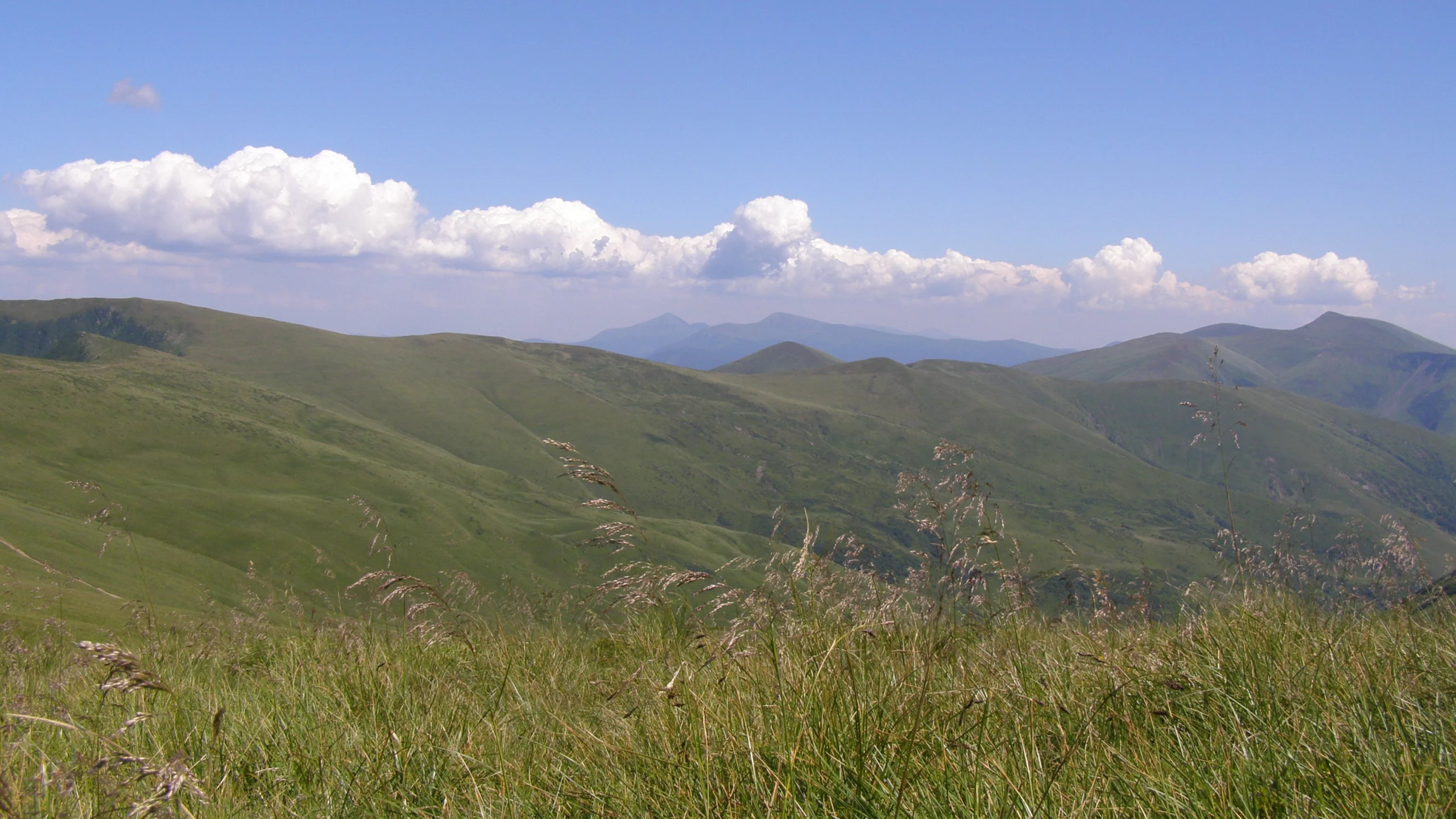 карпаты, горы, полоныны, трава, говерла, туризм