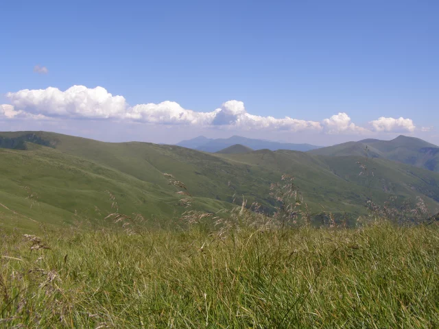 карпаты, горы, полоныны, трава, говерла, туризм