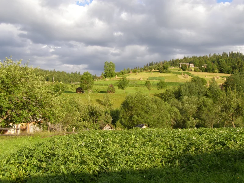 село, горы, лес, луг, облака, огород, стог, сено
