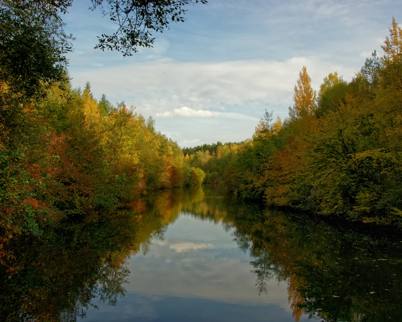 осень, река, листья, красота, вода, свежесть, красота