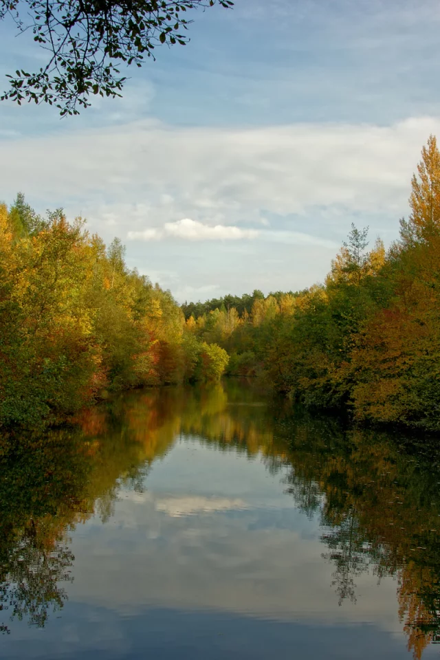осень, река, листья, красота, вода, свежесть, красота