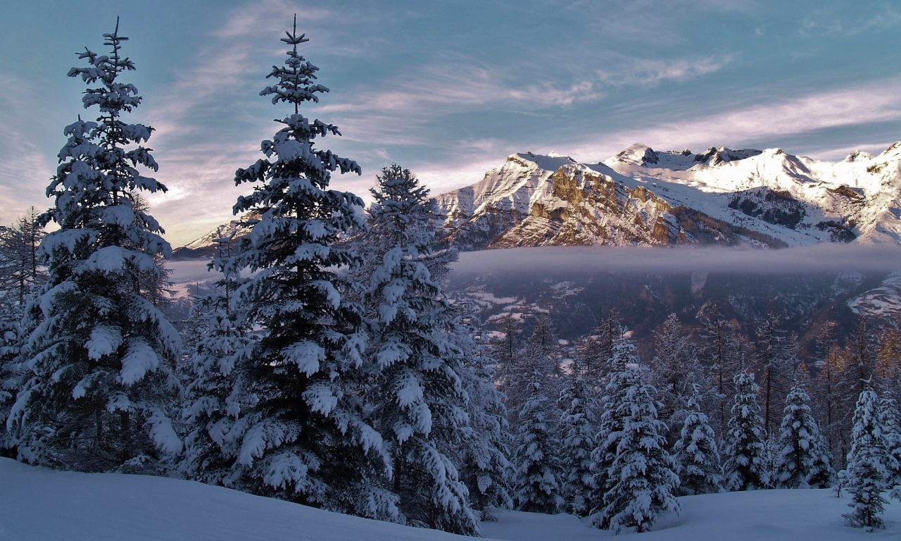 горы, снег, зима, ель, альпы, деревья, иней, мороз, небо, облака, природа