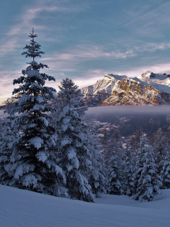горы, снег, зима, ель, альпы, деревья, иней, мороз, небо, облака, природа