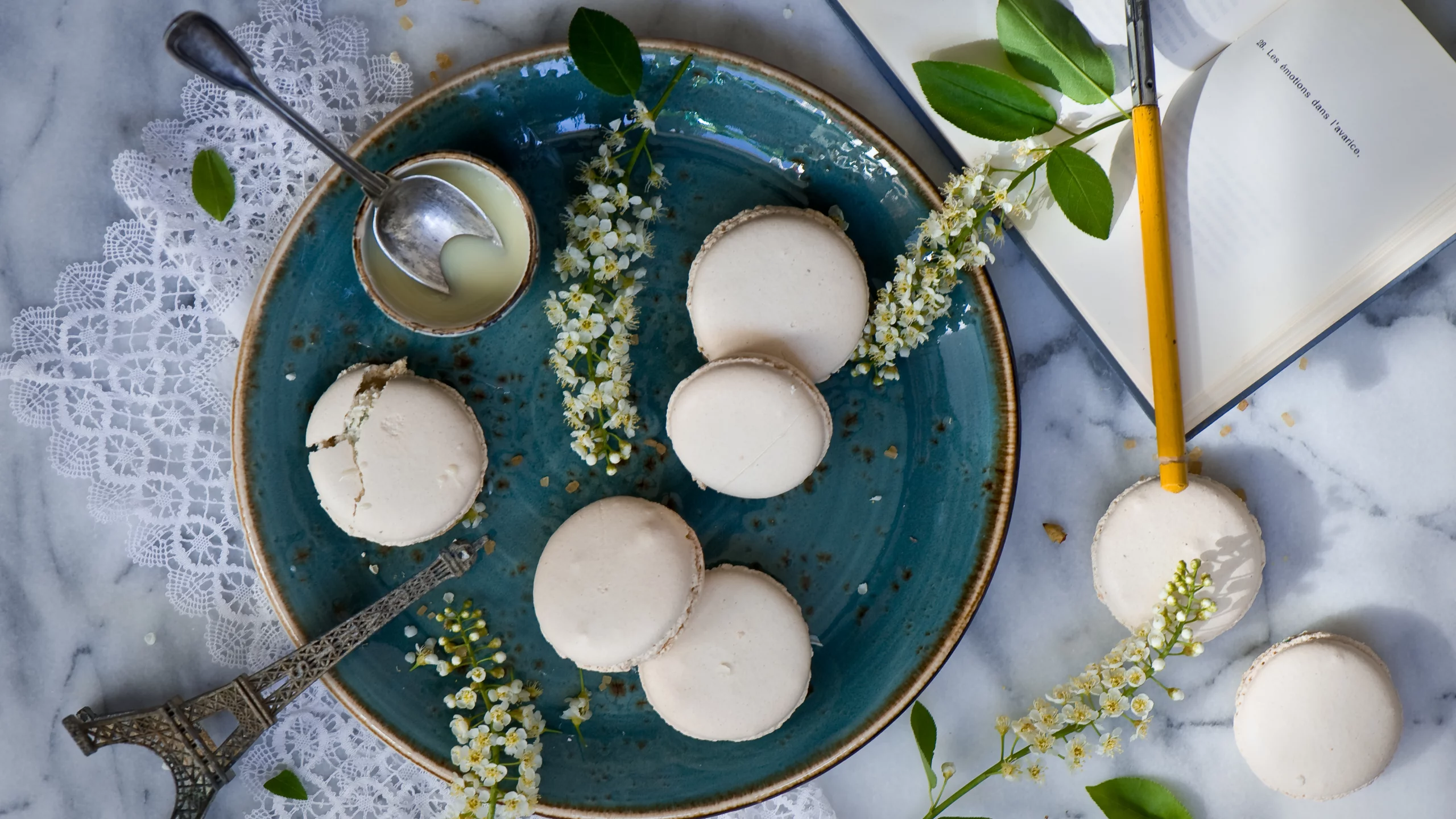 macaron, печенье, блокнот, десерт, белый, тарелка