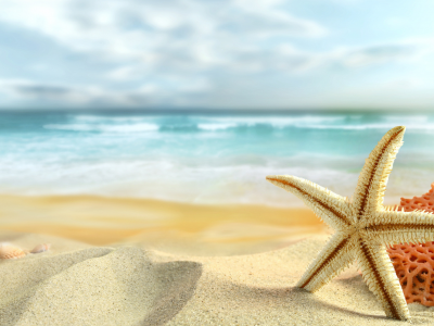 океан, песок, морская, звезда