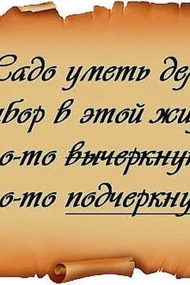 афоризмы, изречения
