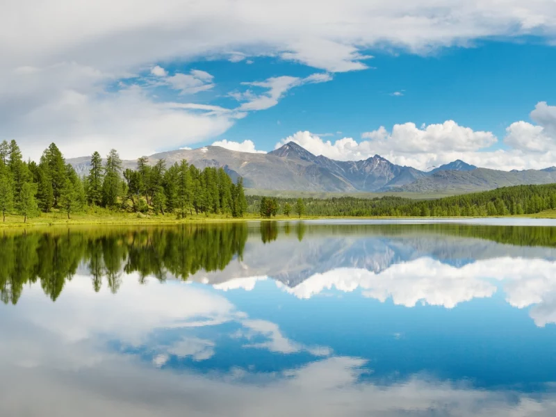 вода, горы, лес