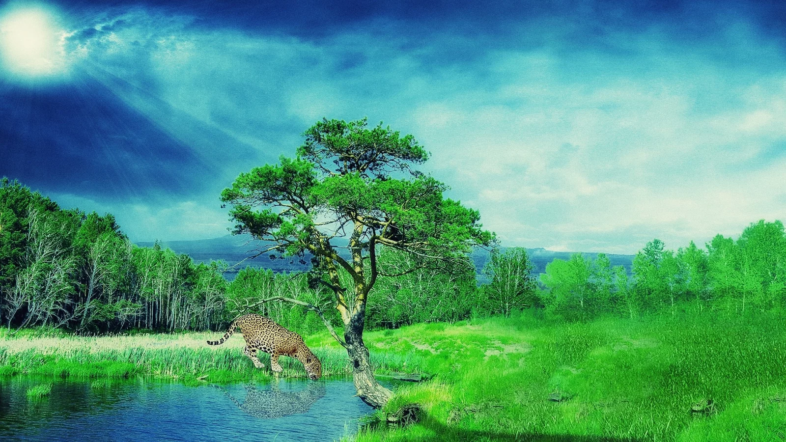 пейзаж, ягуар