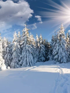 пейзаж, зима