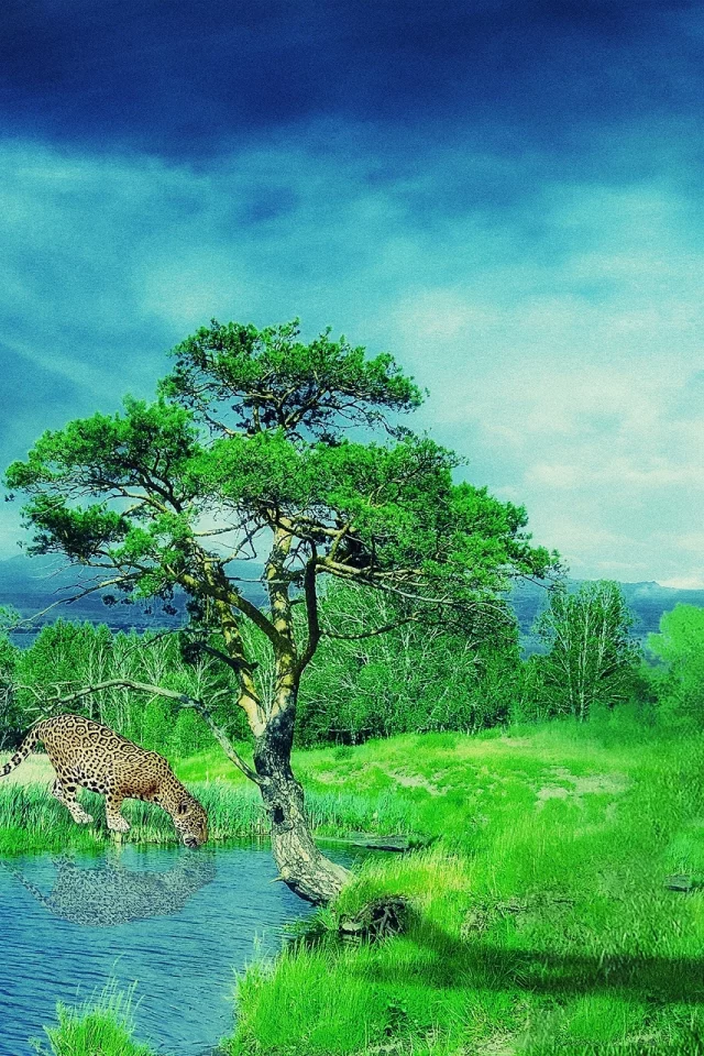 пейзаж, ягуар