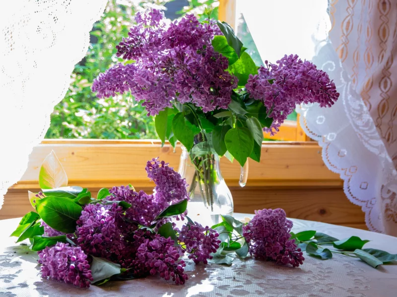 сирень, окно, букет